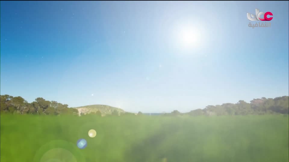 البرنامج الثقافي - الفضاء الشاسع - الحلقة 5