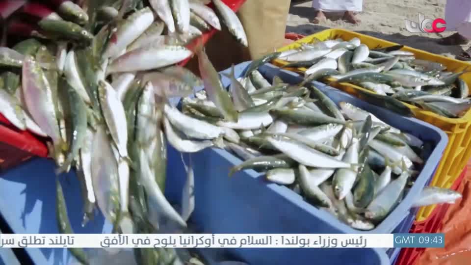 برنامج/عباب