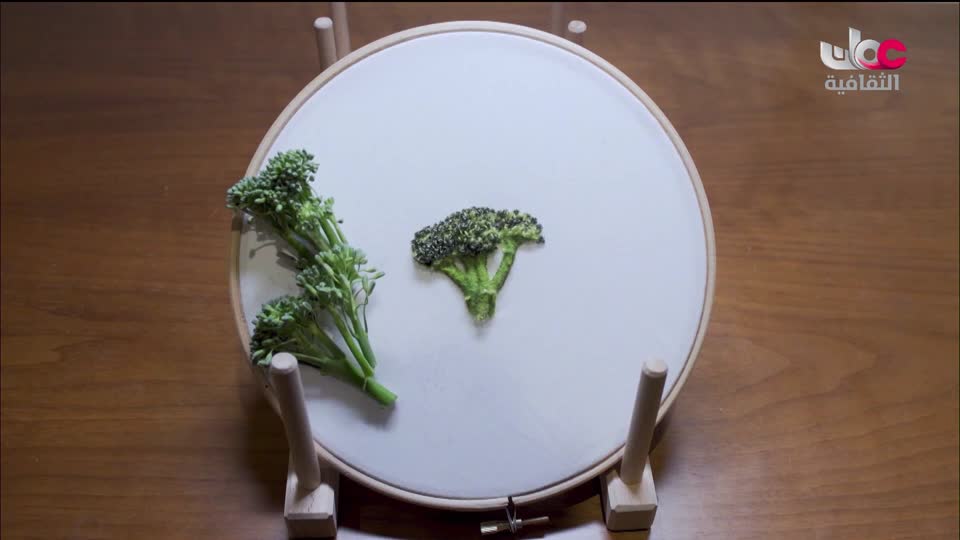 البرنامج الثقافي - غرائب الصحاري - الحلقة 1