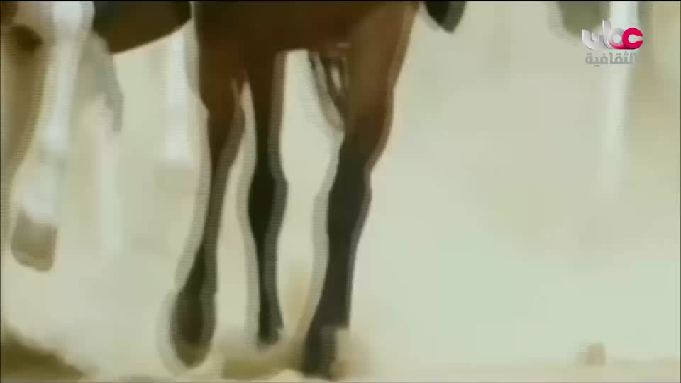 برنامج _ مدن من نور - الحلقة 28