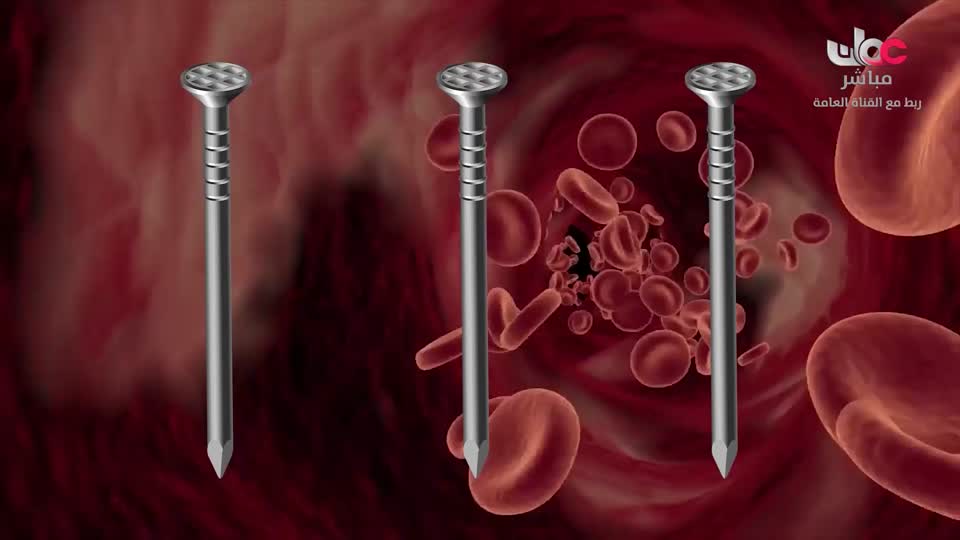 برنامج/مدن وحضارات