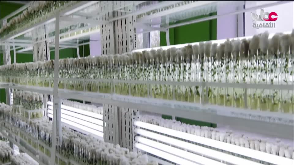 برنامج - حواضر اسلامية - الحلقة 30