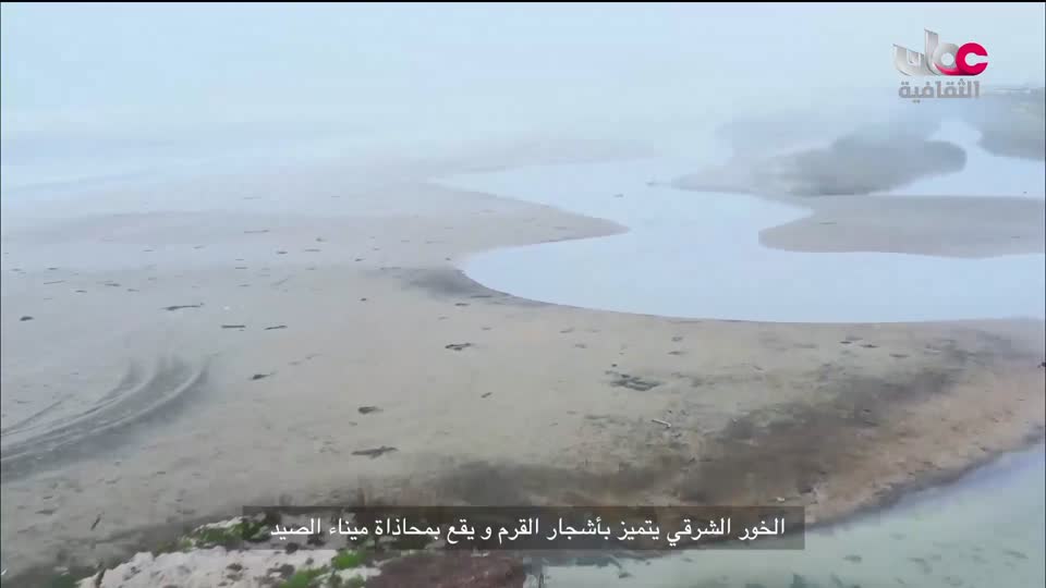 البرنامج الثقافي _ اطباء في الحياة البرية - الحلقة 1