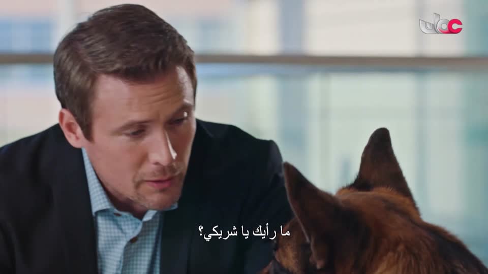 البرنامج الثقافي / ماذا تعرف عن