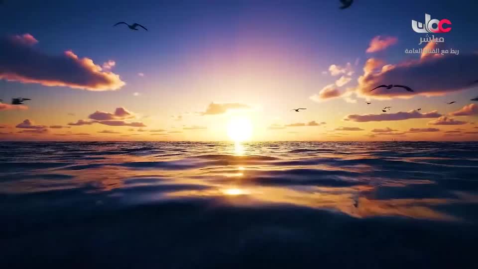 برنامج/صنع في عمان