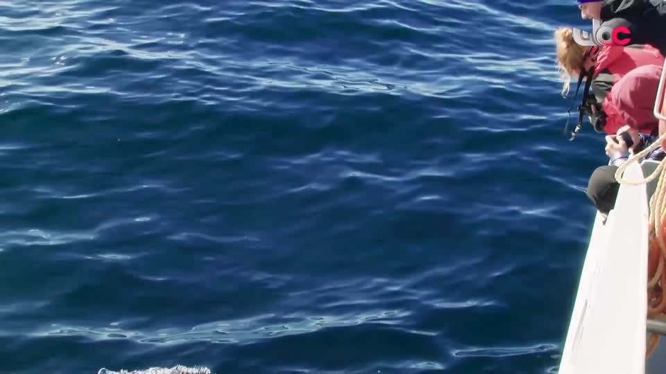 المسلسل الكرتوني آية ودعاء - الحلقة 22