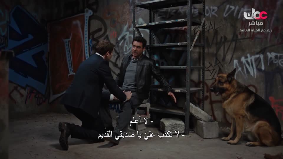 البرنامج الثقافي / ماذا تعرف عن