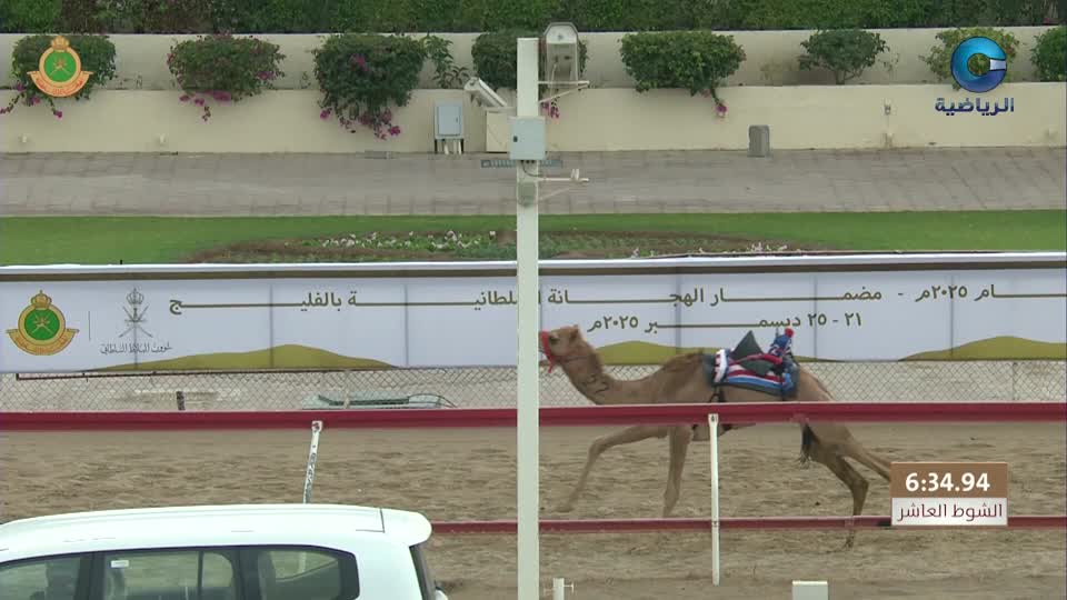 السباق العام للمهرجان السنوي لسباقات الهجن الاهلية - الفليج 2026 - الحلقة 4