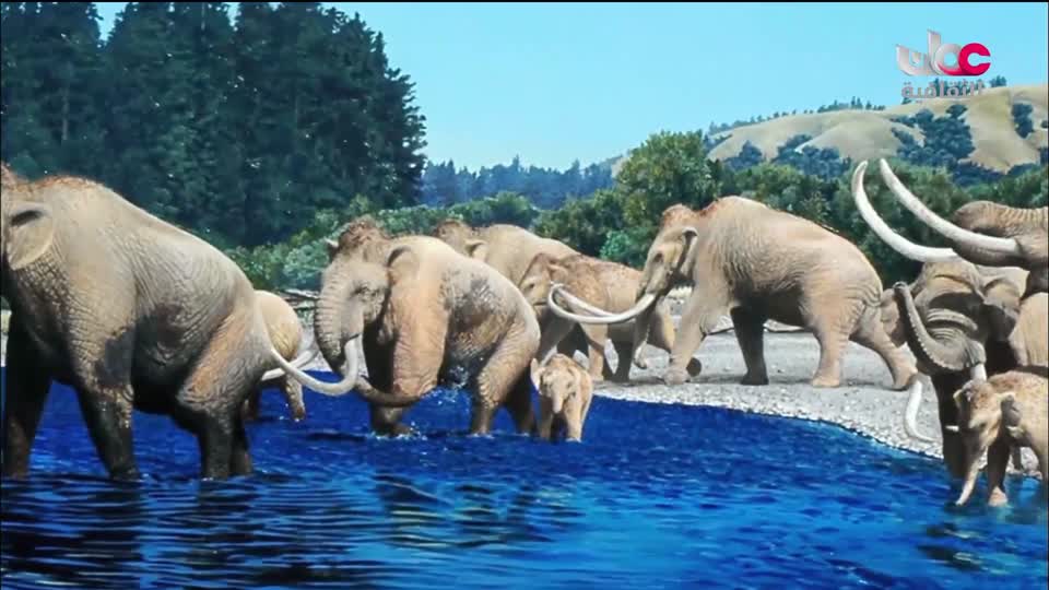 برنامج _ البوصلة - الحلقة 2