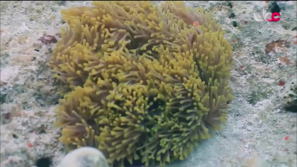 افضل عشرة فنون معمارية في العالم - الحلقة 2