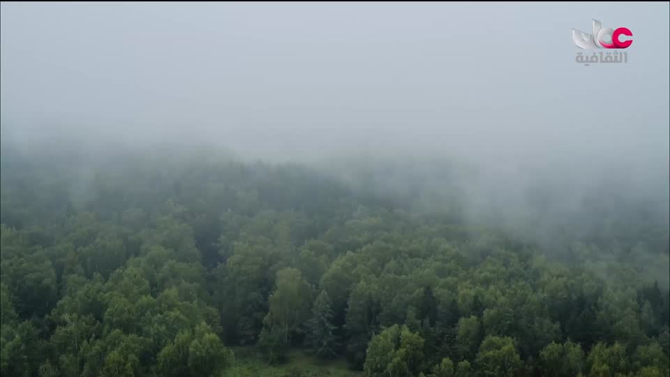 برنامج - كنوز الصحراء - الحلقة 3