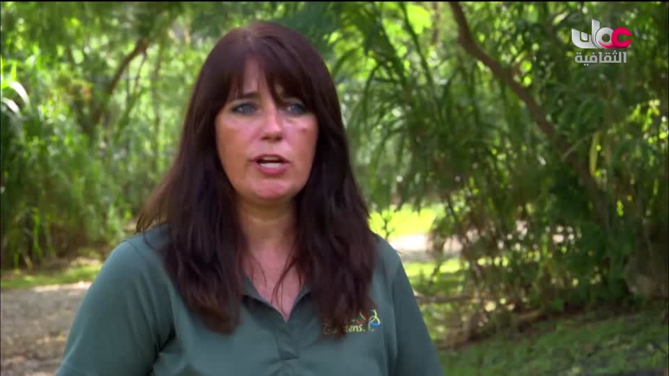 برنامج مكان و أثر