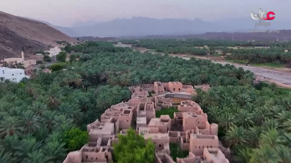 نشرة الواحدة