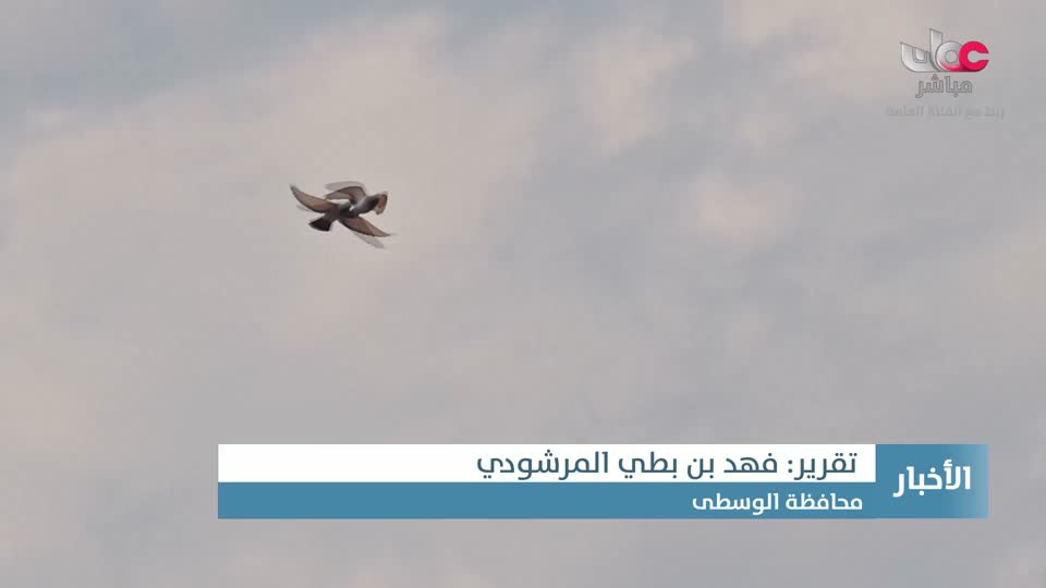 أغنية وطنية