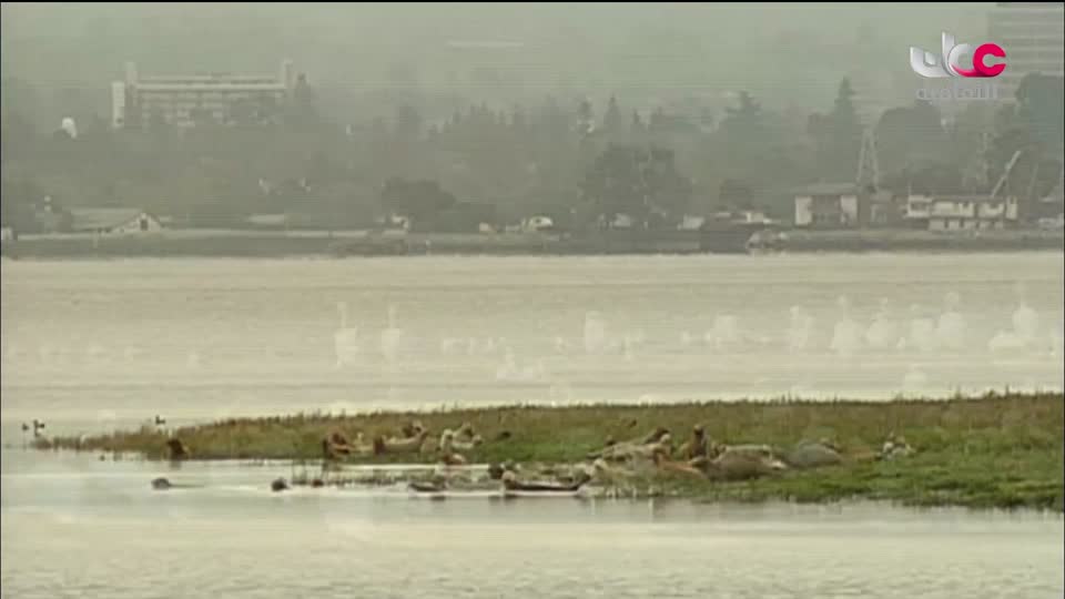 البرنامج الثقافي - هل تعلم ج2 - الحلقة 4