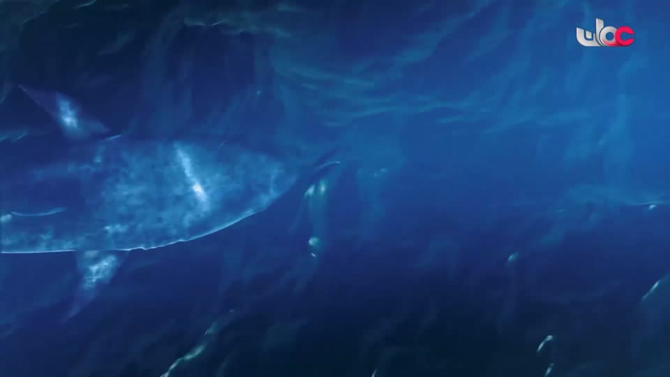 المسلسل المحلي - منا وفينا - الحلقة 7