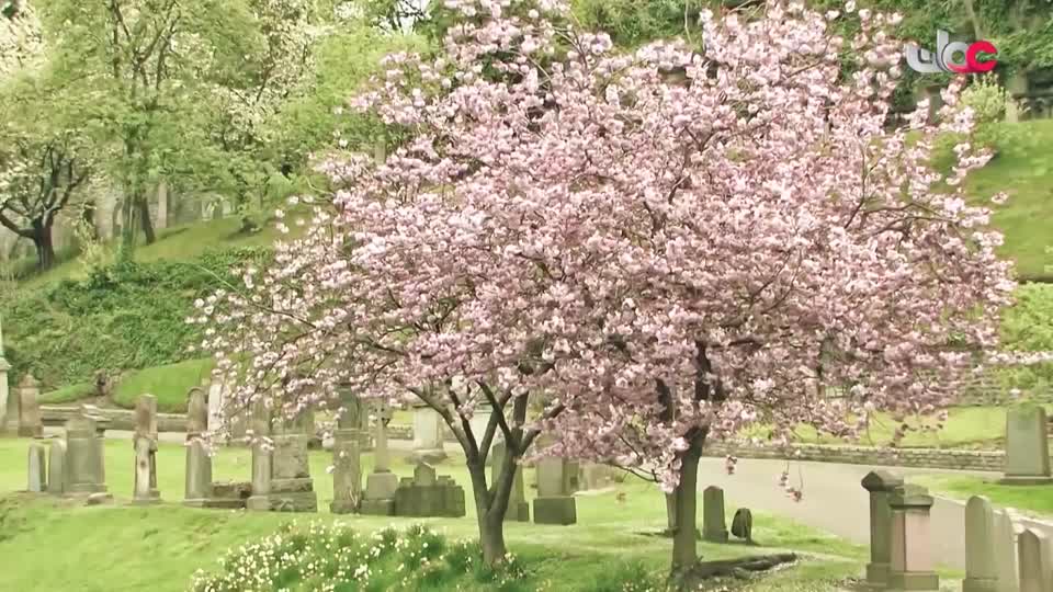 آذان العصـــــــر