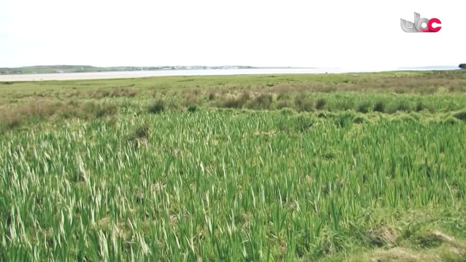 البرنامج الثقافي - ماذا تعرف عن - الحلقة 4