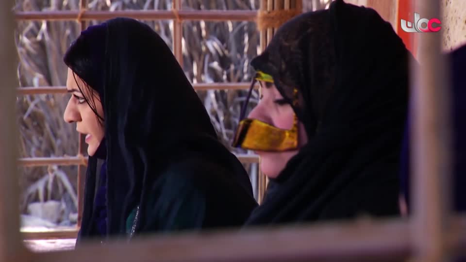 برنامج/متون