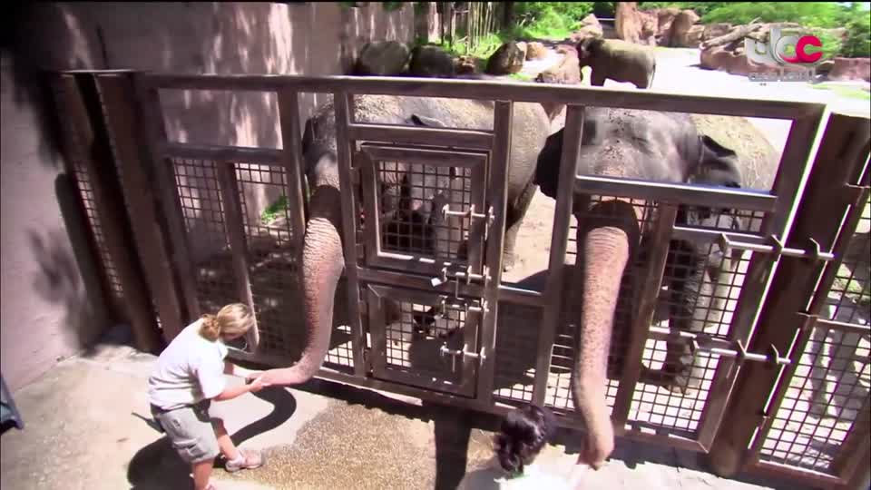 برنامج مكان و أثر