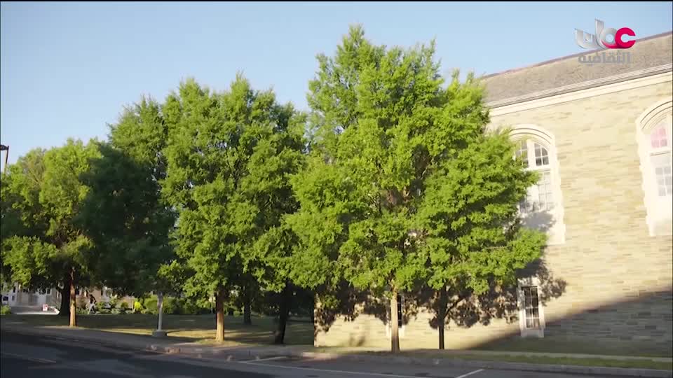 البرنامج الثقافي - عالم الأشجار