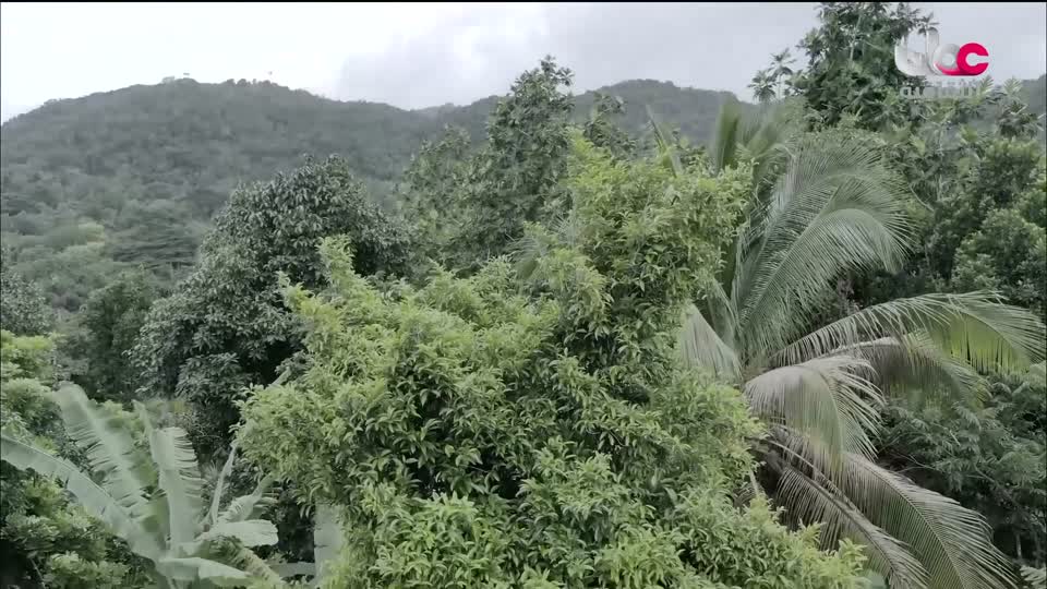 البرنامج الثقافي أرض ونار - تطور فن الطبخ - الحلقة 5