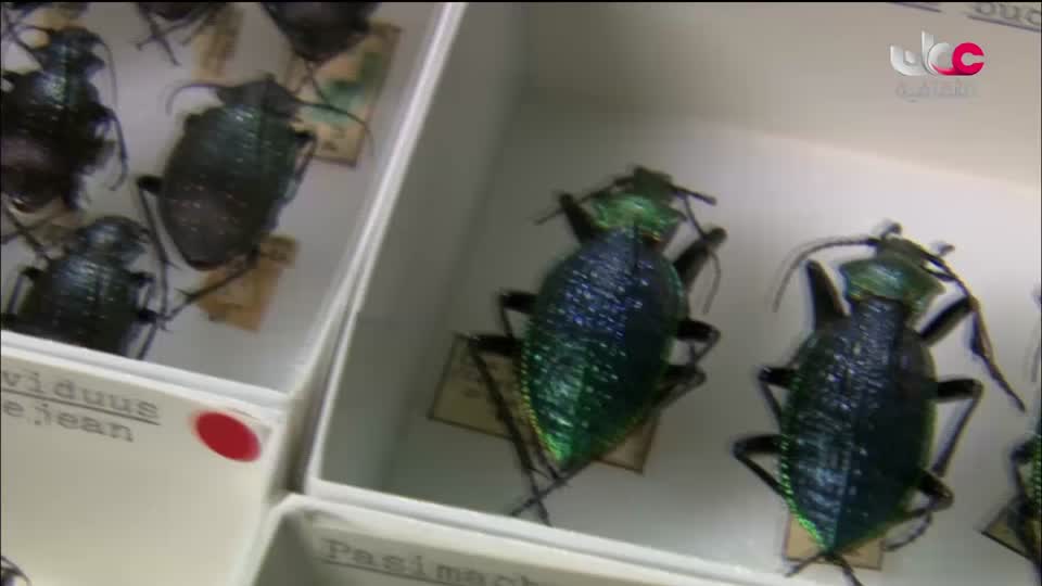 البرنامج الثقافي - هل تعلم ج2 - الحلقة 7