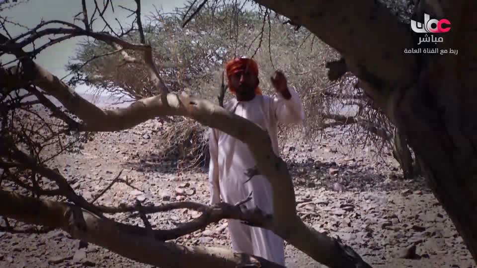 برنامج/مؤشرات