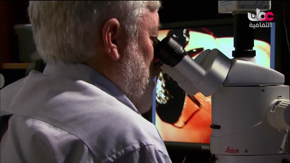 برنامج - حواضر اسلامية - الحلقة 6