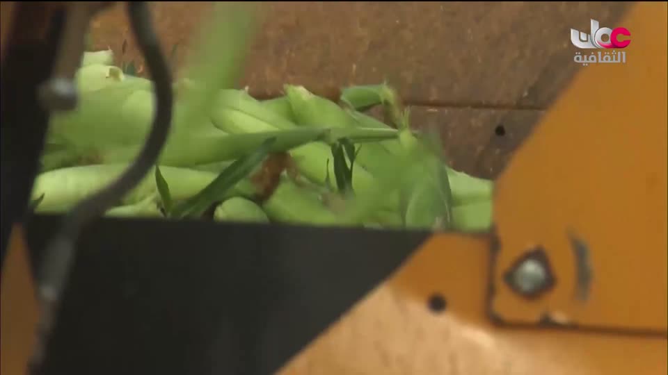 البرنامج الثقافي - العالم لك - الحلقة 6