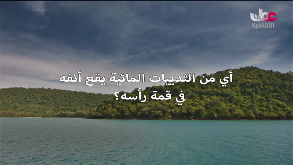 برنامج - عن السينما - الحلقة 5