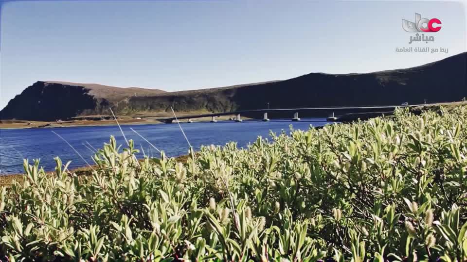 المسلسل الكرتوني آية ودعاء - الحلقة 27