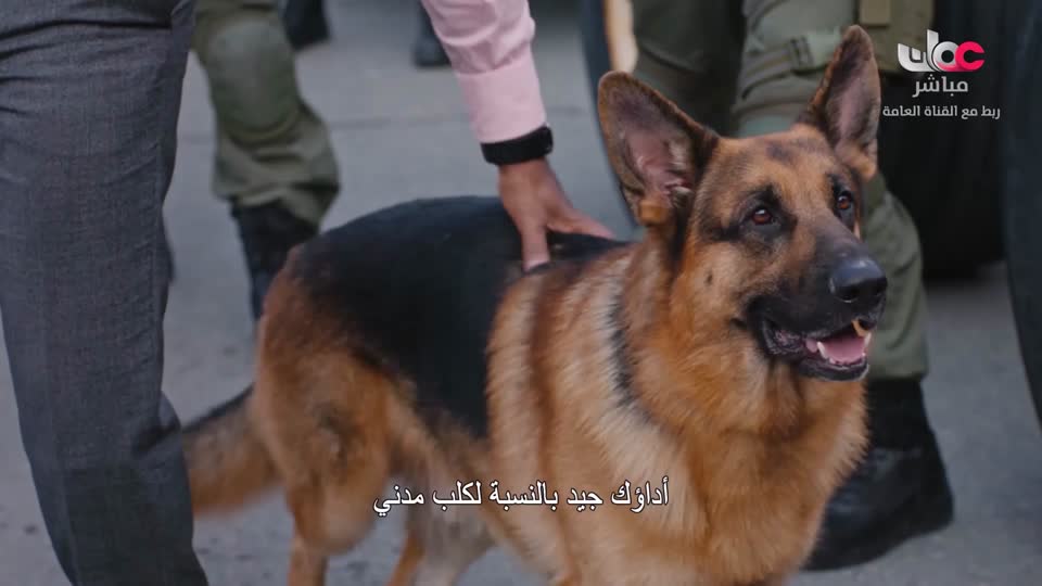 البرنامج الثقافي - ماذا تعرف عن - الحلقة 7