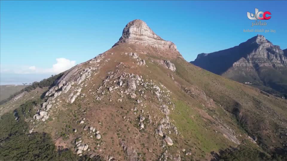 البرنامج الثقافي - ماذا تعرف عن - الحلقة 8