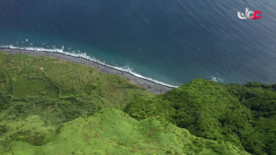 البرنامج الثقافي - ماذا تعرف عن - الحلقة 8