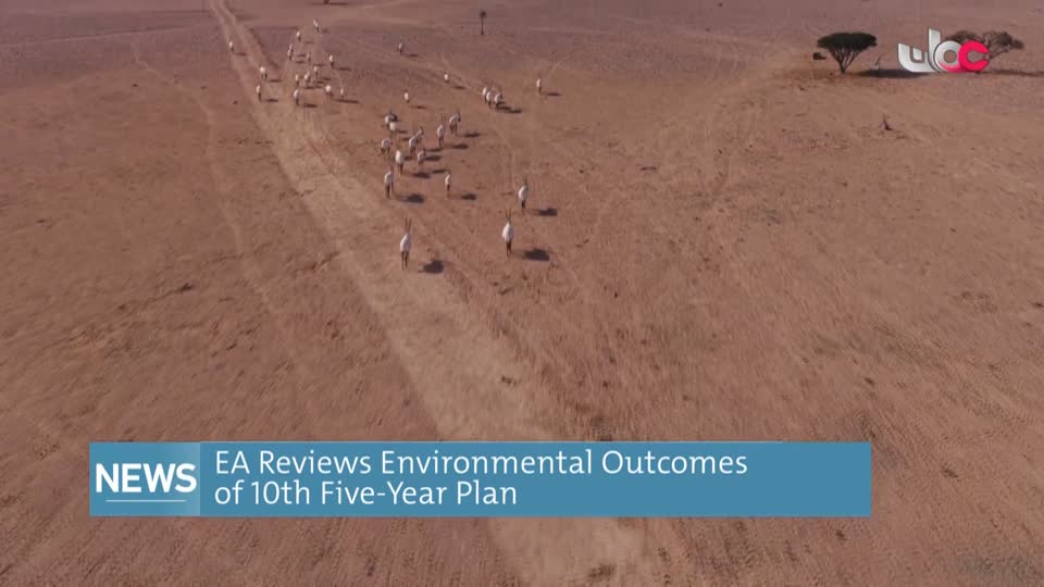 نشرة أخبار اللغة الانجليزية