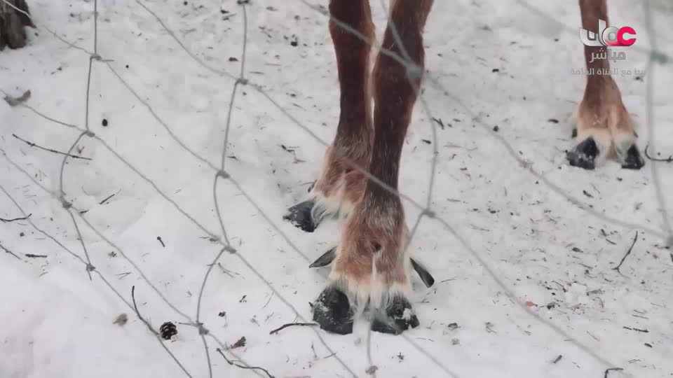 آذان العصـــــــر