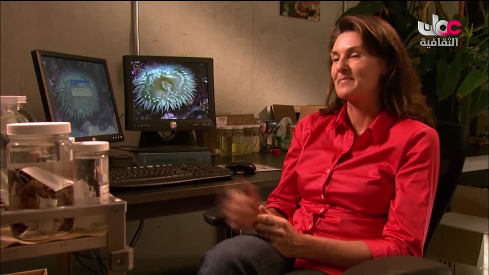 برنامج - حواضر اسلامية - الحلقة 9