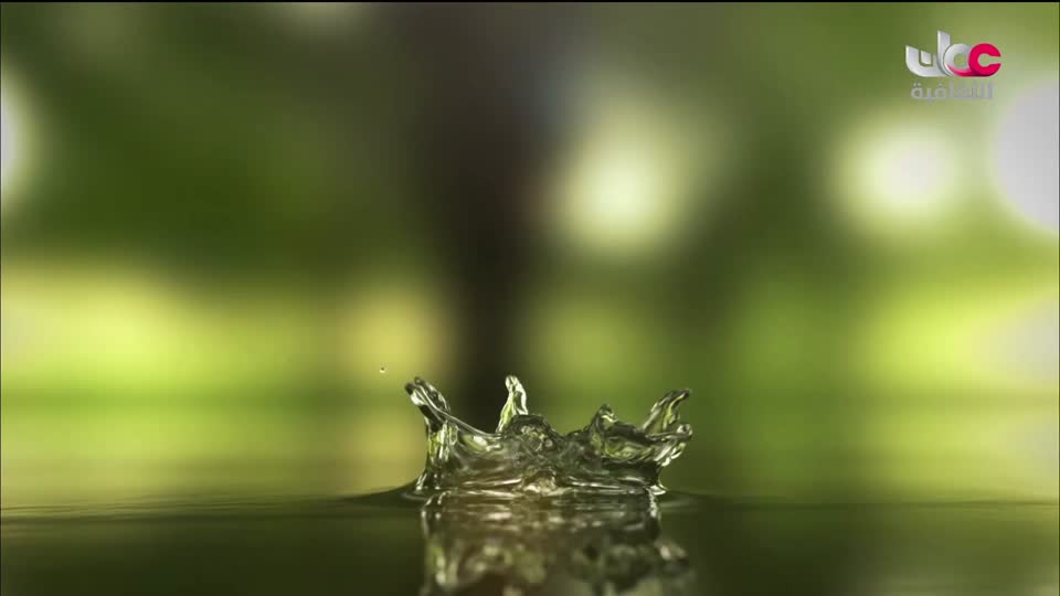 البرنامج الثقافي - زيوت عطرية - الحلقة 9