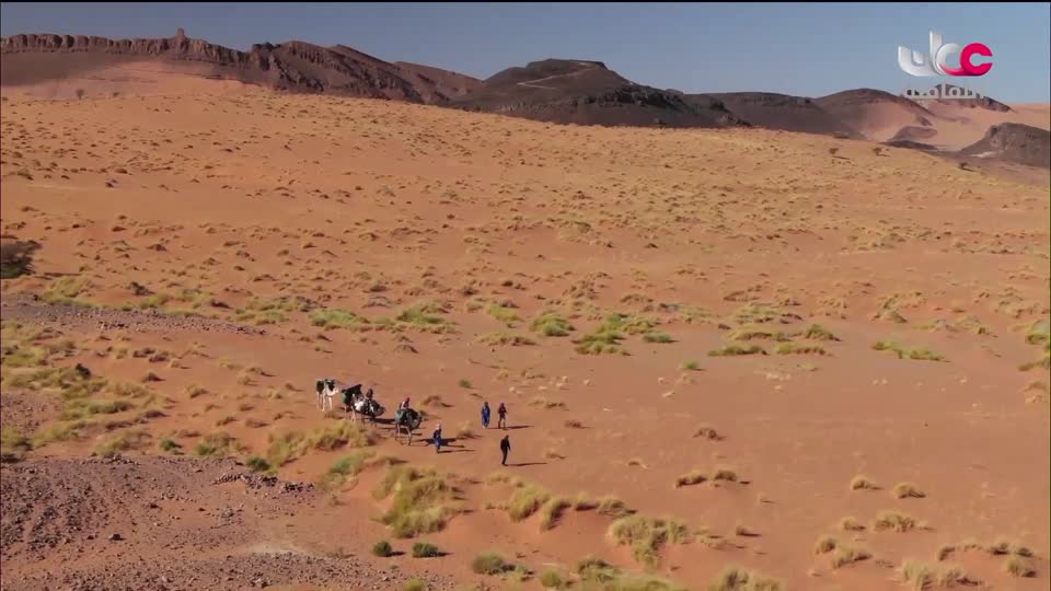 البرنامج الثقافي - الفضاء الشاسع - الحلقة 9