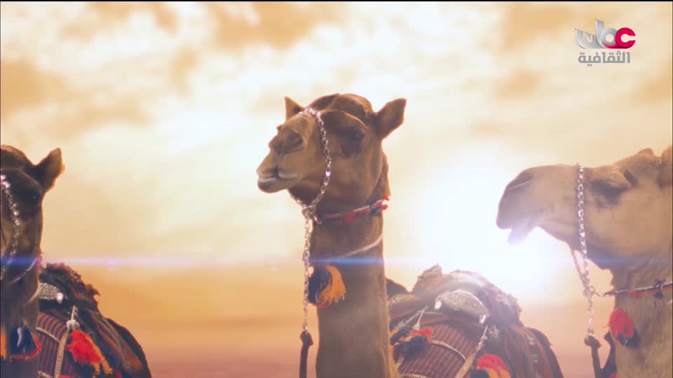 البرنامج الثقافي - عالم المعرفة - الحلقة 10