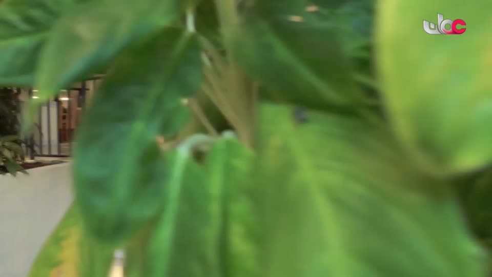 البرنامج الثقافي - ماذا تعرف عن - الحلقة 10