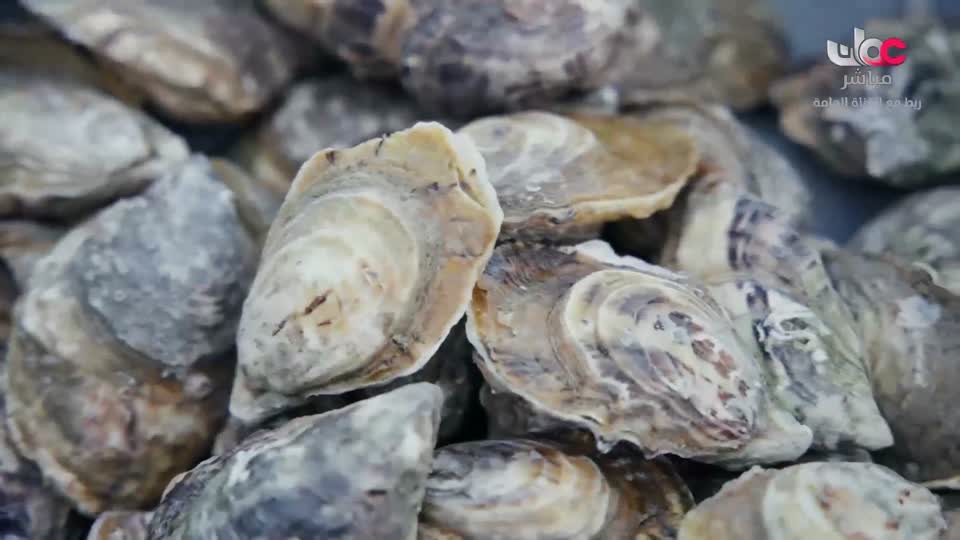 برنامج/سكنى