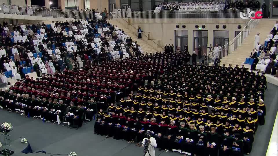 برنامج/أفنان