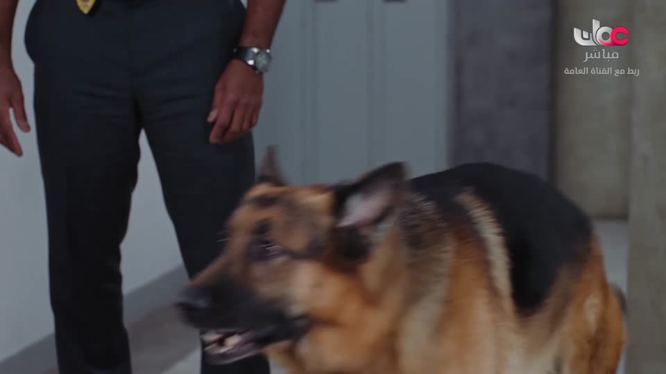 HUDSON AND REX - المسلسل الاجنبي - الحلقة 41