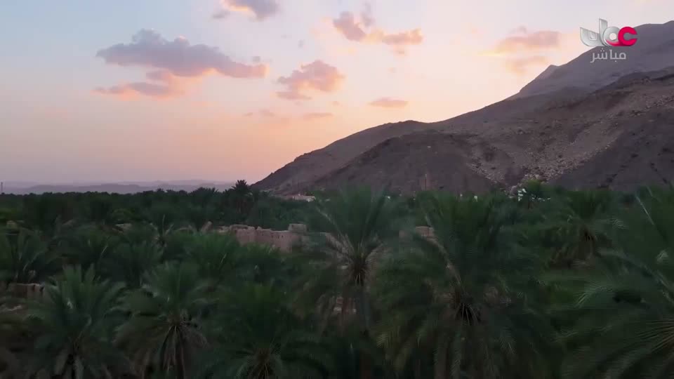 نشرة الواحدة