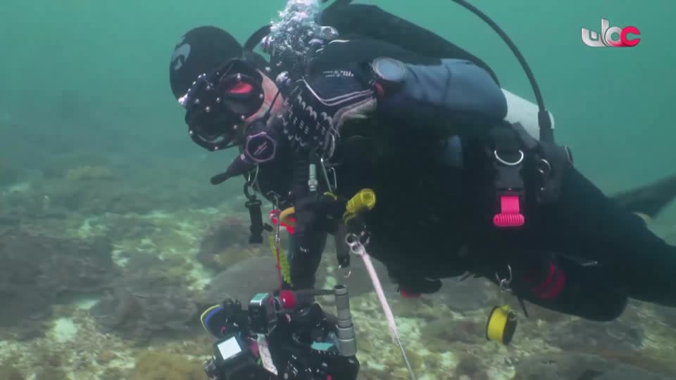 المسلسل العربي - وتقابل حبيب - الحلقة 19