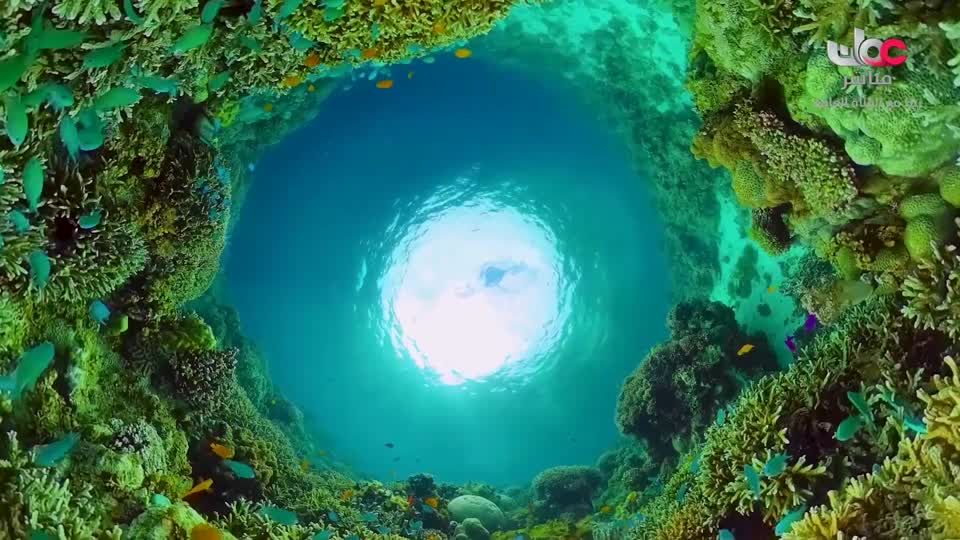 المسلسل الورقي/ الأحاديث القدسية