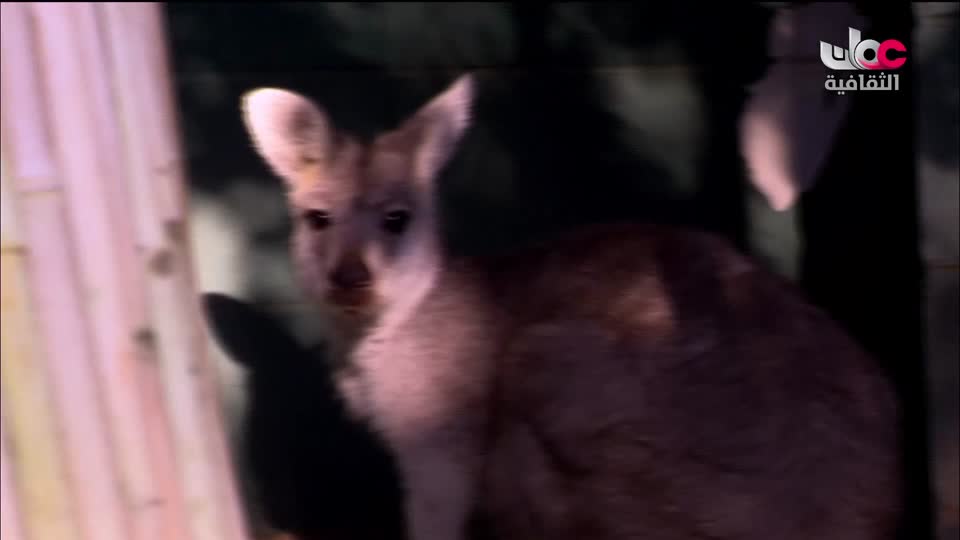 برنامج مكان و أثر