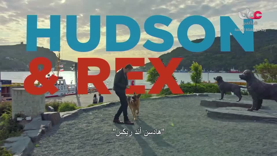 البرنامج الثقافي - ماذا تعرف عن - الحلقة 9